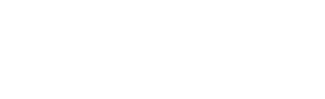 NEW TRITON 2023 logo