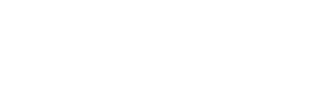 ALL NEW TRITON logo